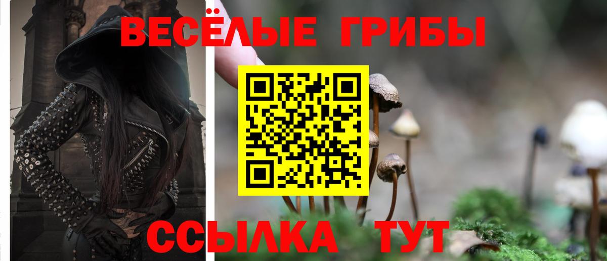 Галлюциногенные грибы Cubensis Артём