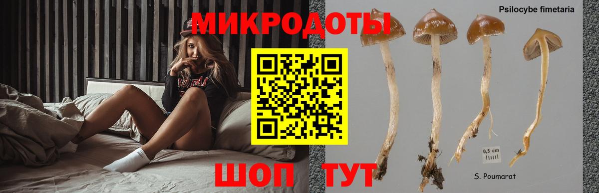 Галлюциногенные грибы мухоморы  Вход с VPN  Артём  Псилоцибиновые грибы Cubensis 
